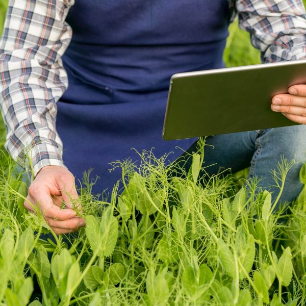 agricultor-tableta-primer-plano