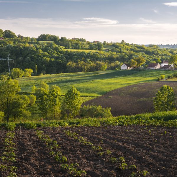 hermoso-tiro-horizontal-campo-verde-arbustos-arboles-pequenas-casas-campo